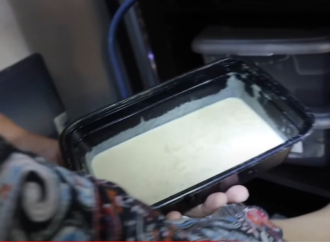 Cassie from Cassie's Critters & Creations holds a Banana Worm culture, showing a load of banana worms climbing the walls of the culture, ready for harvesting