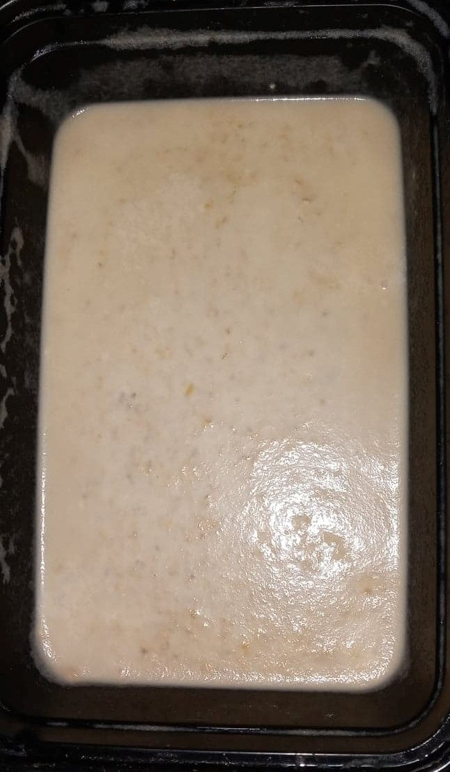 Top view of a Banana worm culture (Panagrellus nepenthicola), used as live food for fish, displayed in a petri dish showcasing a creamy texture with scattered tiny white worms, essential for breeding aquarium fish.