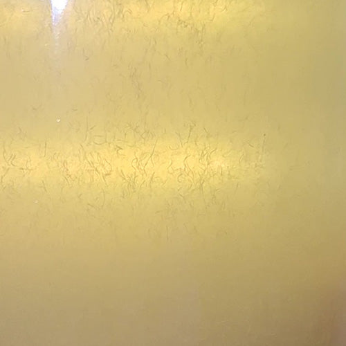 Closeup shot of a Vinegar Eel culture from Cassie's Critters & Creations