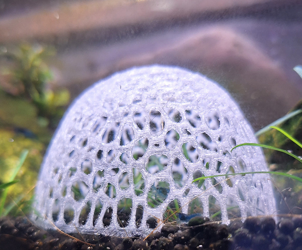Close-up view of the VoroDome Shrimp Sanctuary inside an Aquatop 6g bookshelf tank. The sanctuary is a complex voronoi tessellation sculpture with an intricate lace-like pattern, providing shelter for Blue Dream Neocaridina shrimp. The Overture translucent PETG material of the dome contrasts with the dark substrate and lush greenery of the aquarium environment.