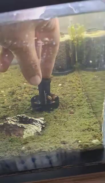 Snail Saver Trap removal