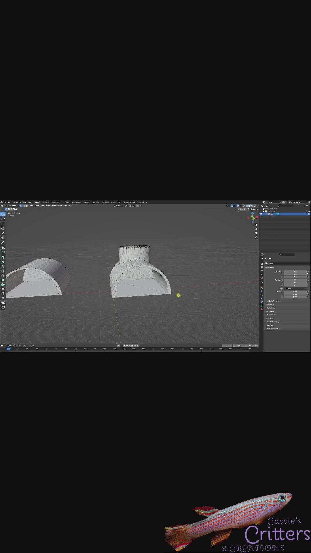 The Cave from Blender to Cura to the Ender 3 S1 to the Blue Shrimp Neocardina Shrimp Tank