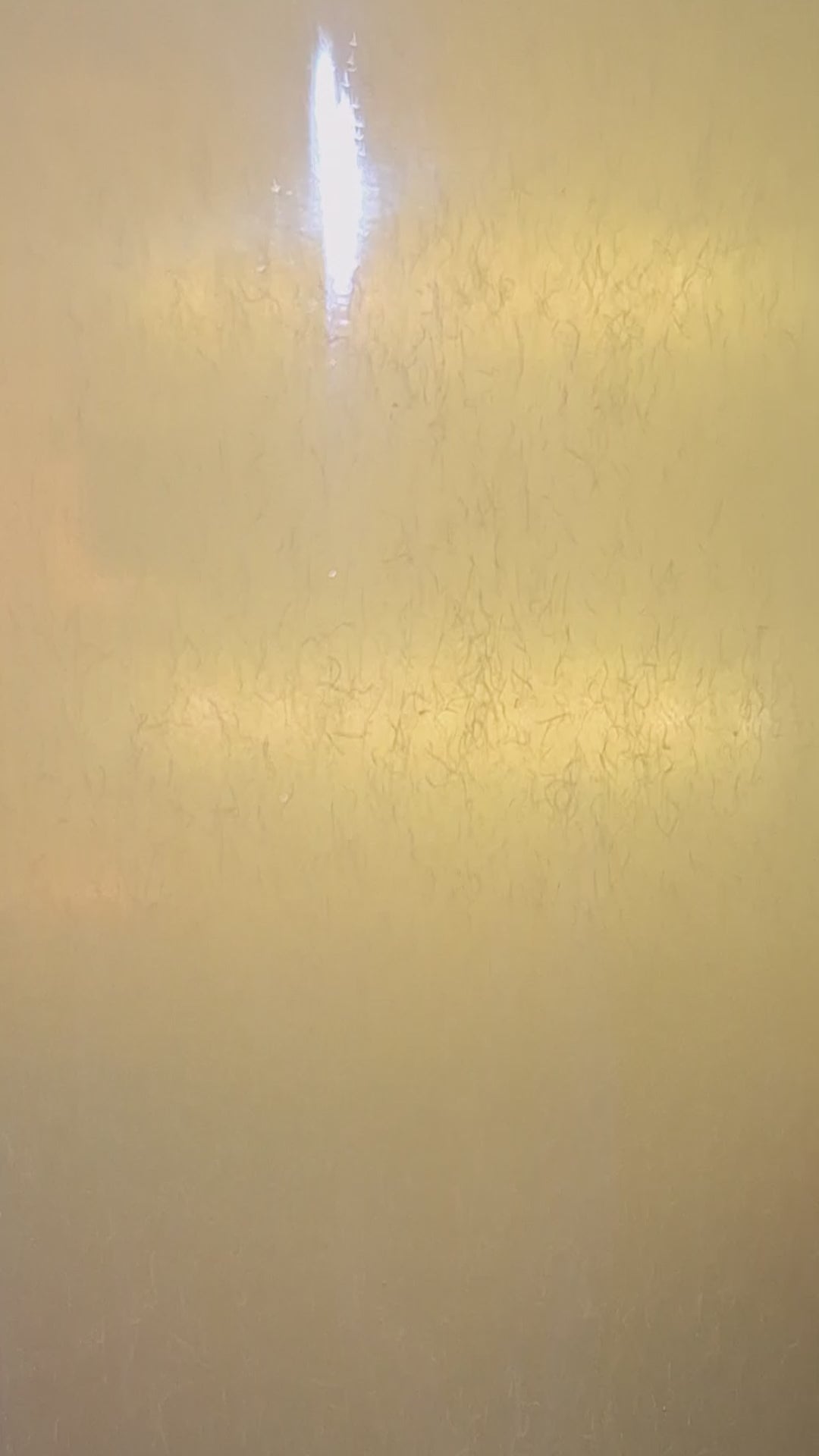 Vinegar eels swimming in apple cider vinegar