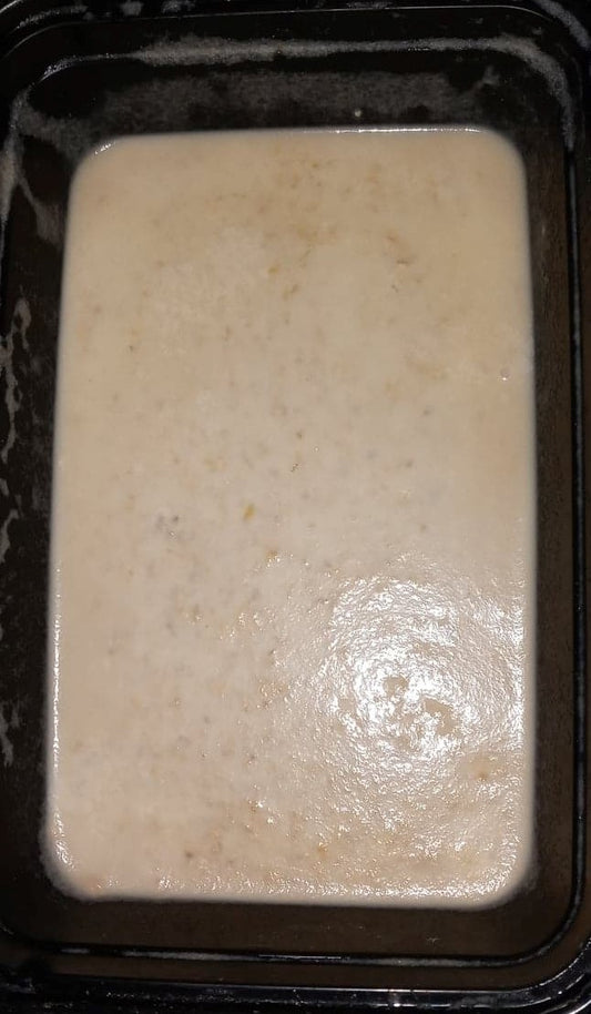 Top view of a Banana worm culture (Panagrellus nepenthicola), used as live food for fish, displayed in a petri dish showcasing a creamy texture with scattered tiny white worms, essential for breeding aquarium fish.