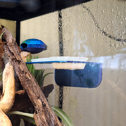 Double Gecko Feeding Ledge with magnetic attachment, featuring cups filled with crested gecko diet on the left and water on the right. The ledge provides a practical and organized feeding station for pet geckos.