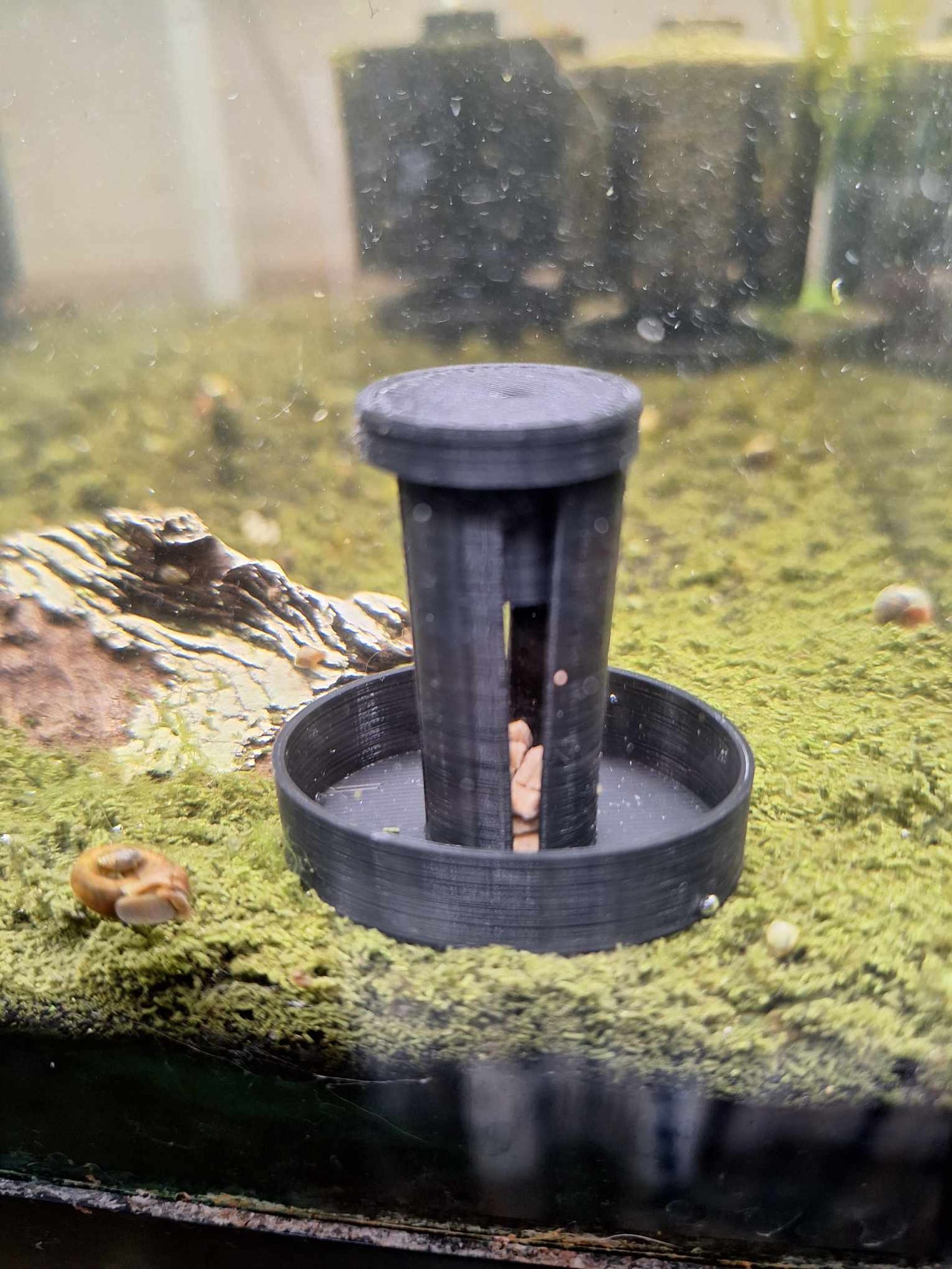 Initial stage of a timelapse: Overture black PETG Snail Saver Trap inside an aquarium, with bait placed in the central cylinder to attract snails, set against a background with detritus, snail waste, and active snails.