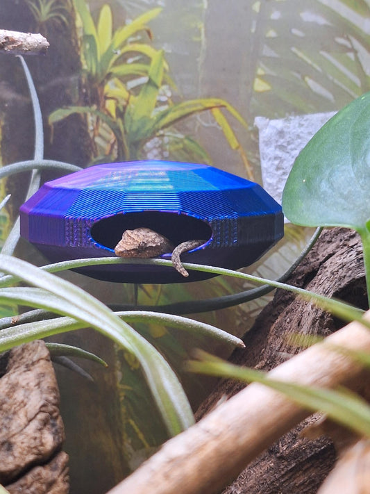 The head and tail of a gecko are seen peeking out of a hole in a purple and blue hide which is shaped like a gem.